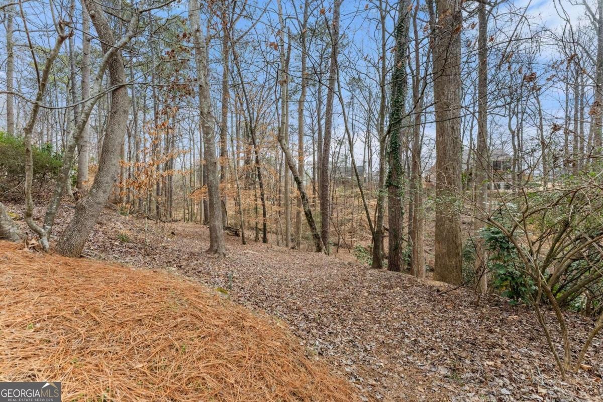 3585 Ridgewood Point Gainesville - Photo 34