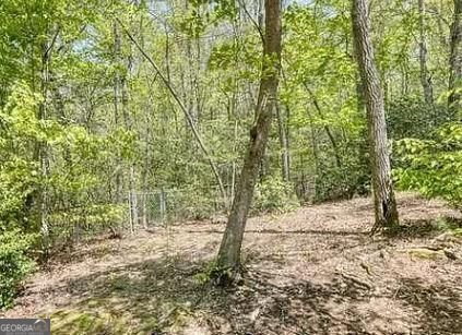 125 Autumn Lane Blairsville - Photo 37