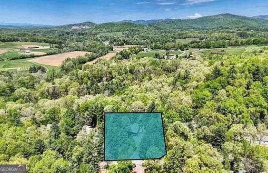 125 Autumn Lane Blairsville - Photo 41