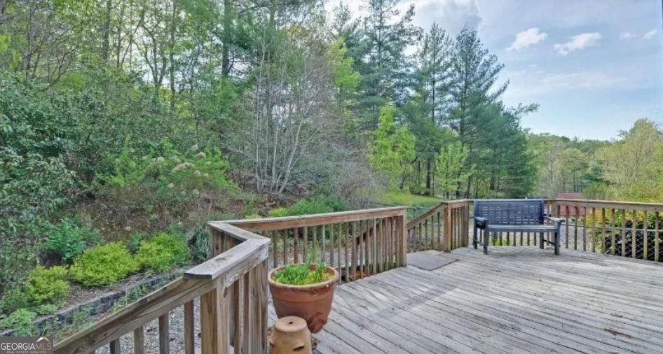 125 Autumn Lane Blairsville - Photo 43