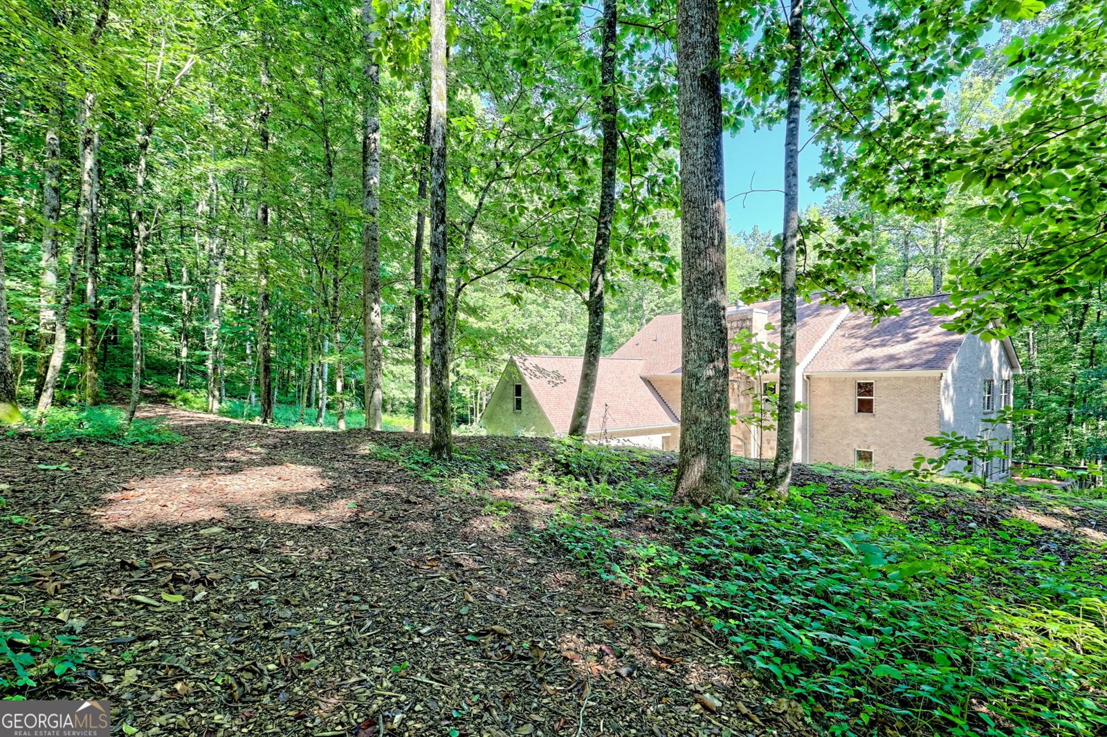 876 WHITETAIL Trail Clayton - Photo 92