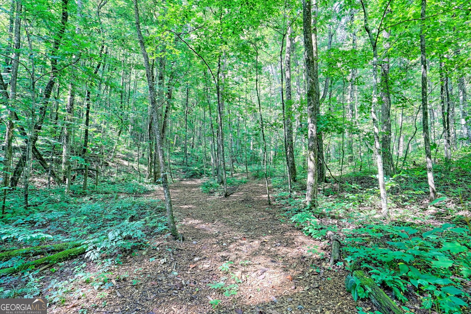 876 WHITETAIL Trail Clayton - Photo 93