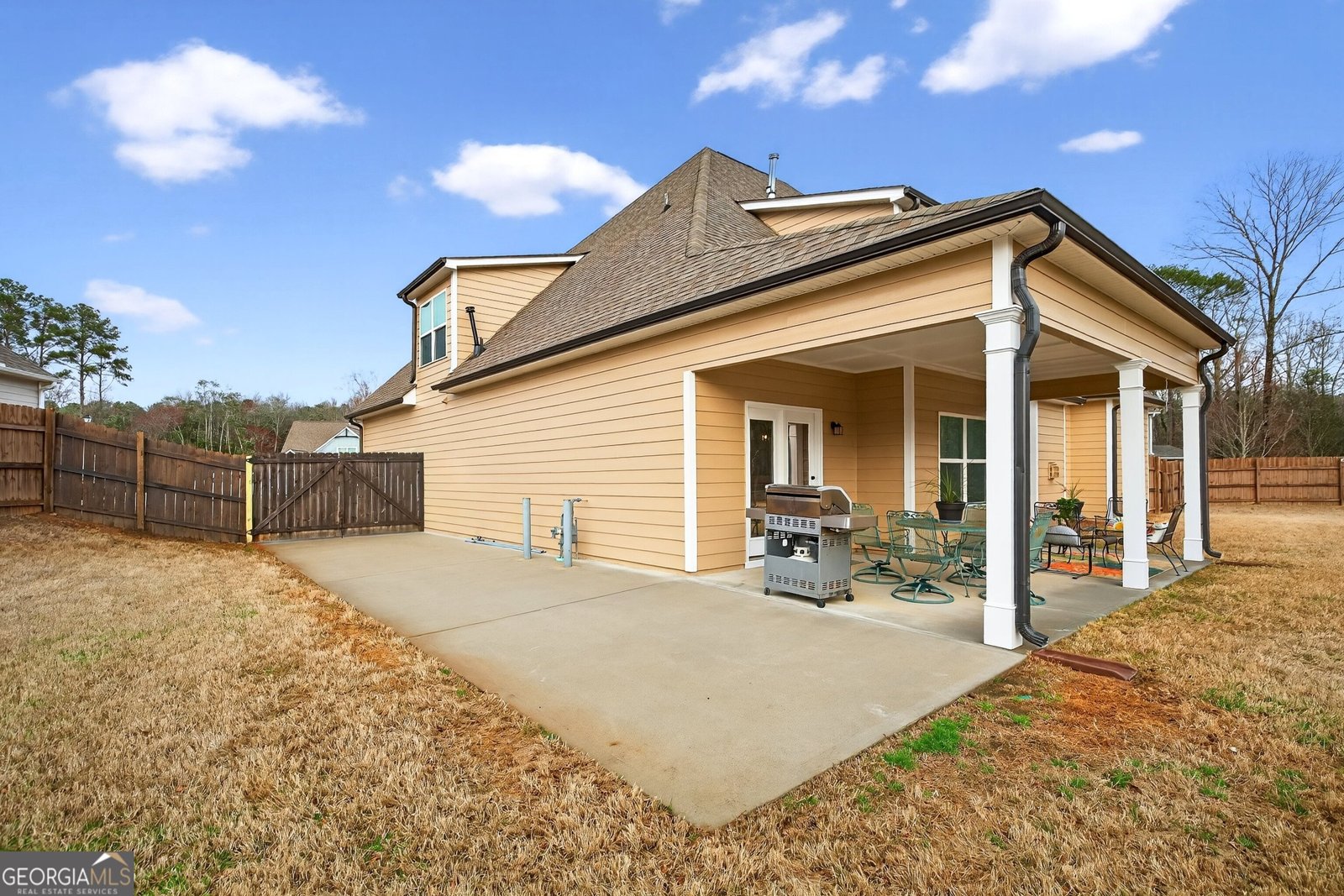 215 Duck Drive Senoia - Photo 48