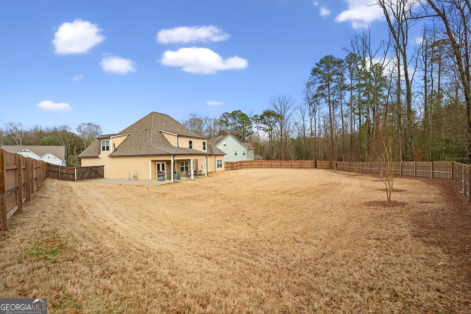 215 Duck Drive Senoia - Photo 51