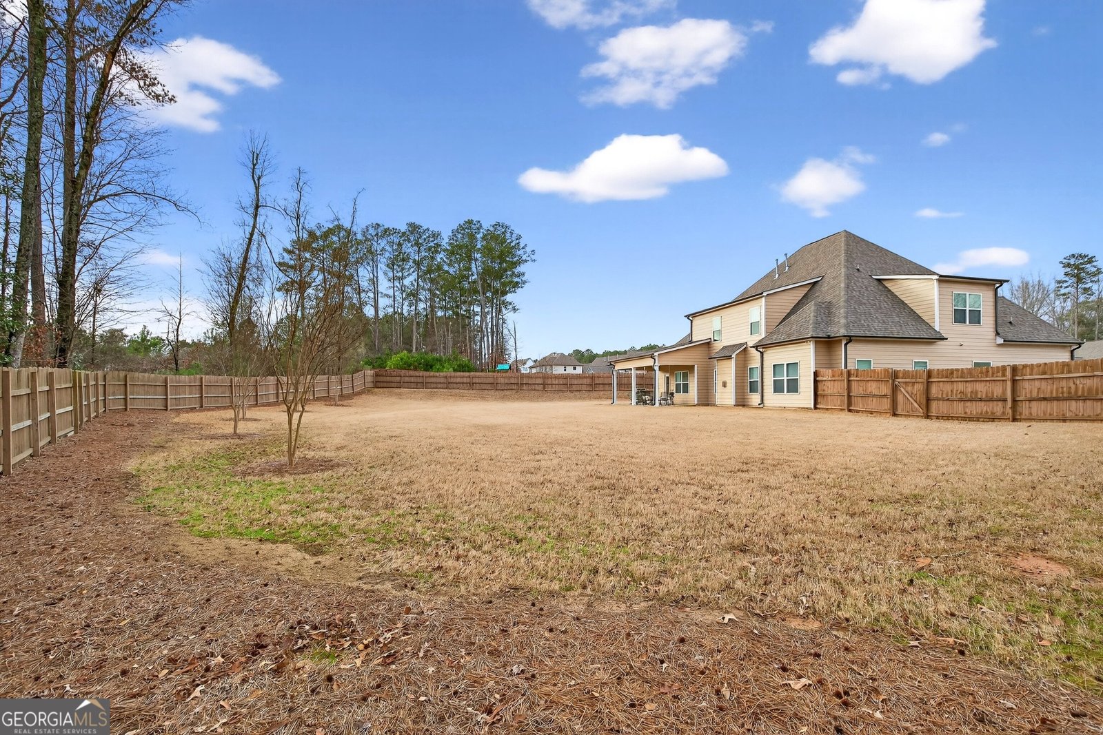 215 Duck Drive Senoia - Photo 53