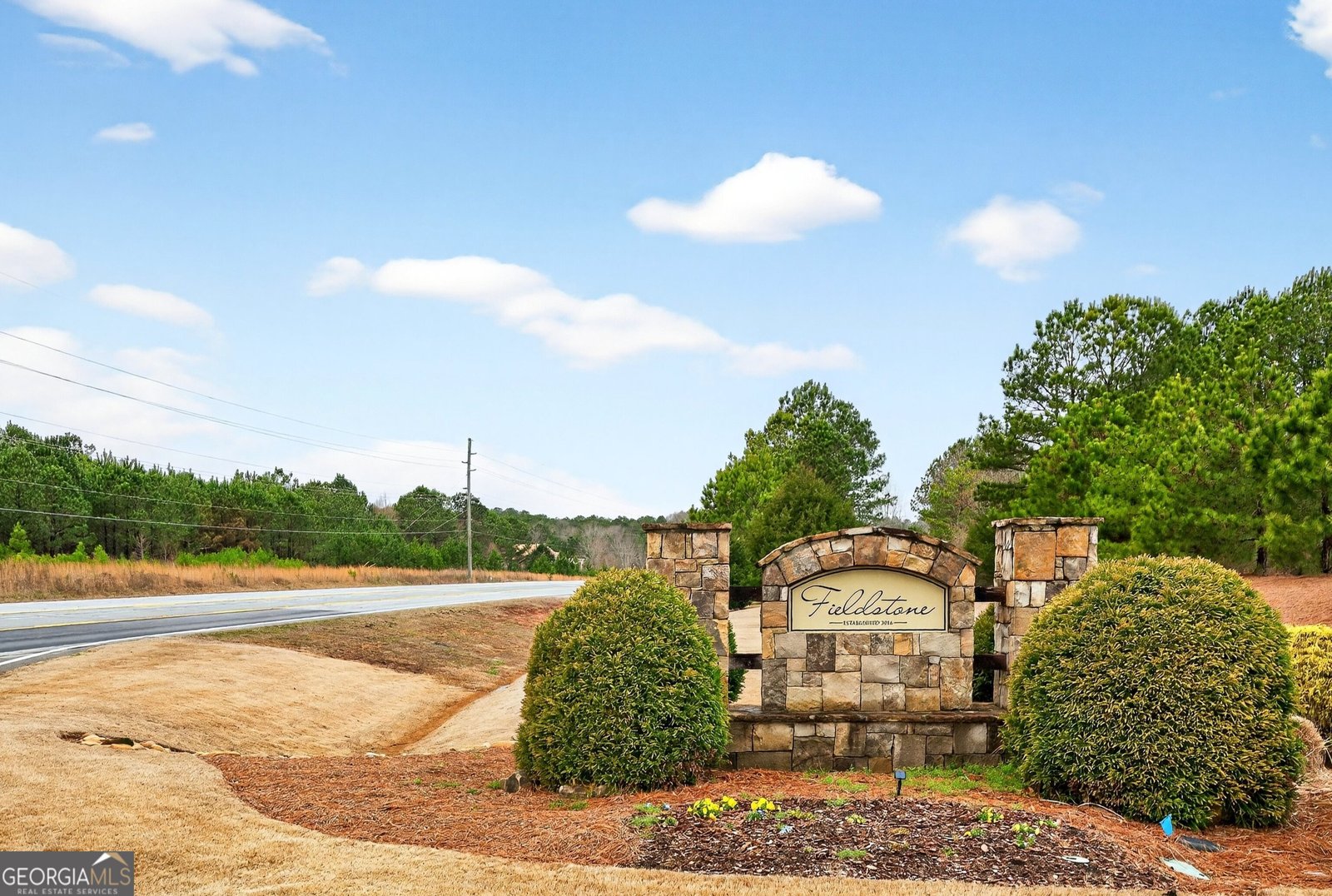 215 Duck Drive Senoia - Photo 57