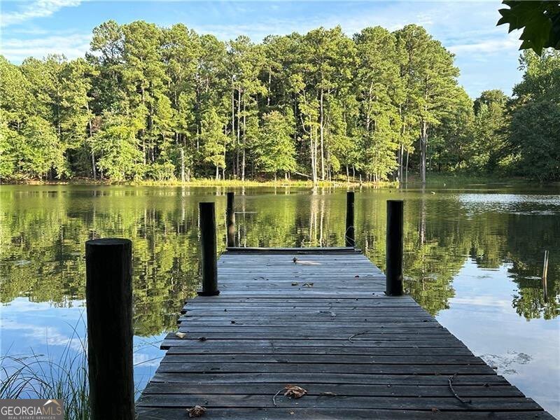 501 Bay Stand Lane Loganville - Photo 39