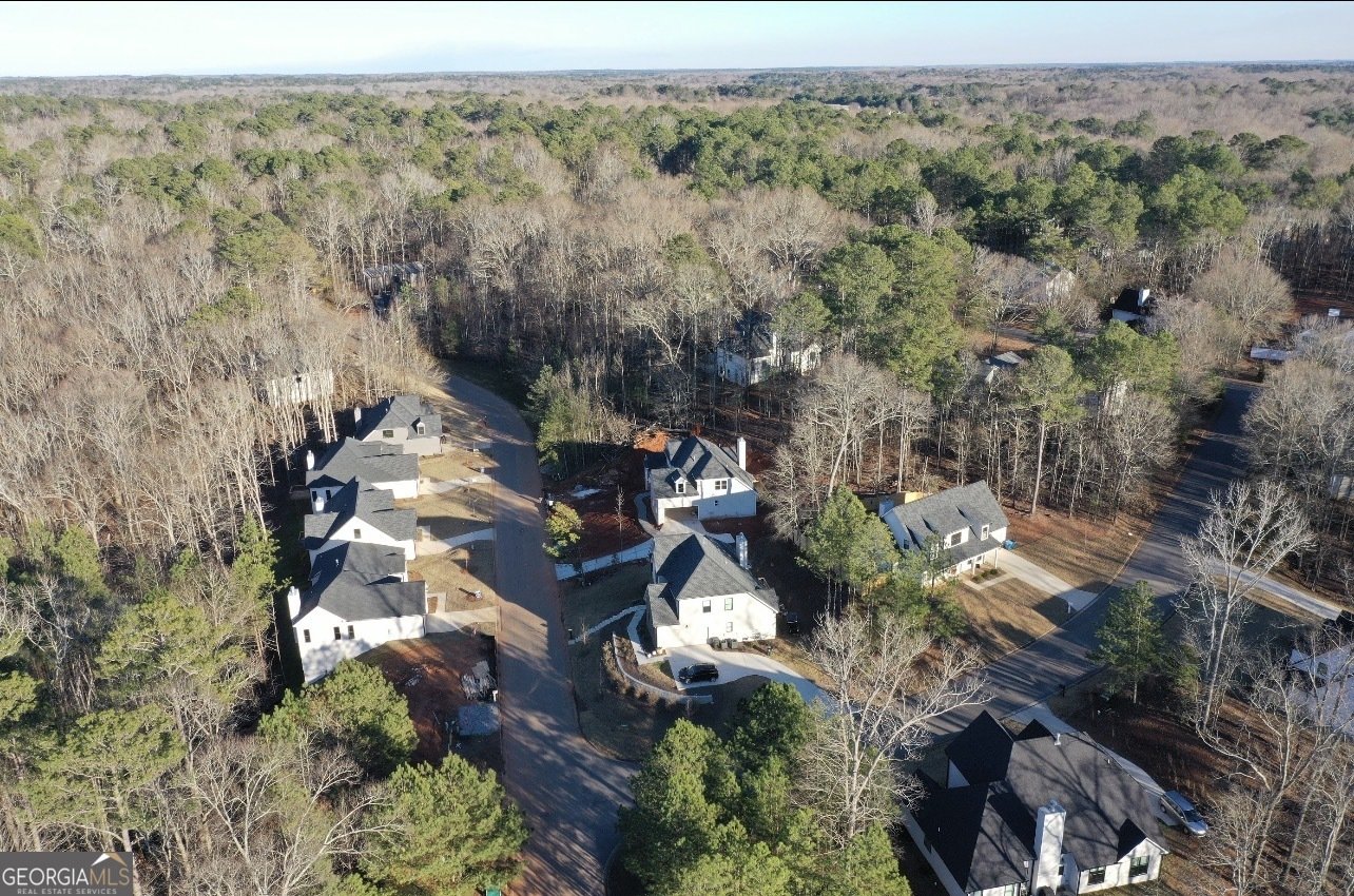 370 Ansley Drive Athens - Photo 41