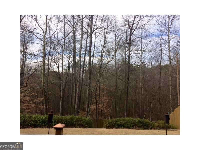 2208 Staunton Drive Duluth - Photo 7