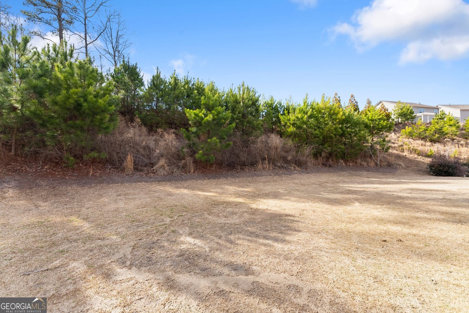 6667 Rivergreen Road Flowery Branch - Photo 40