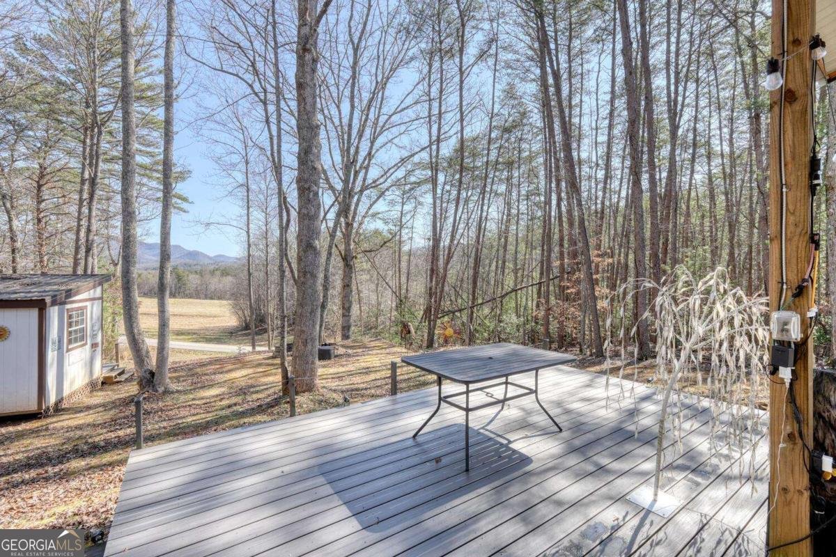 1541 Liberty Church Road Blairsville - Photo 44