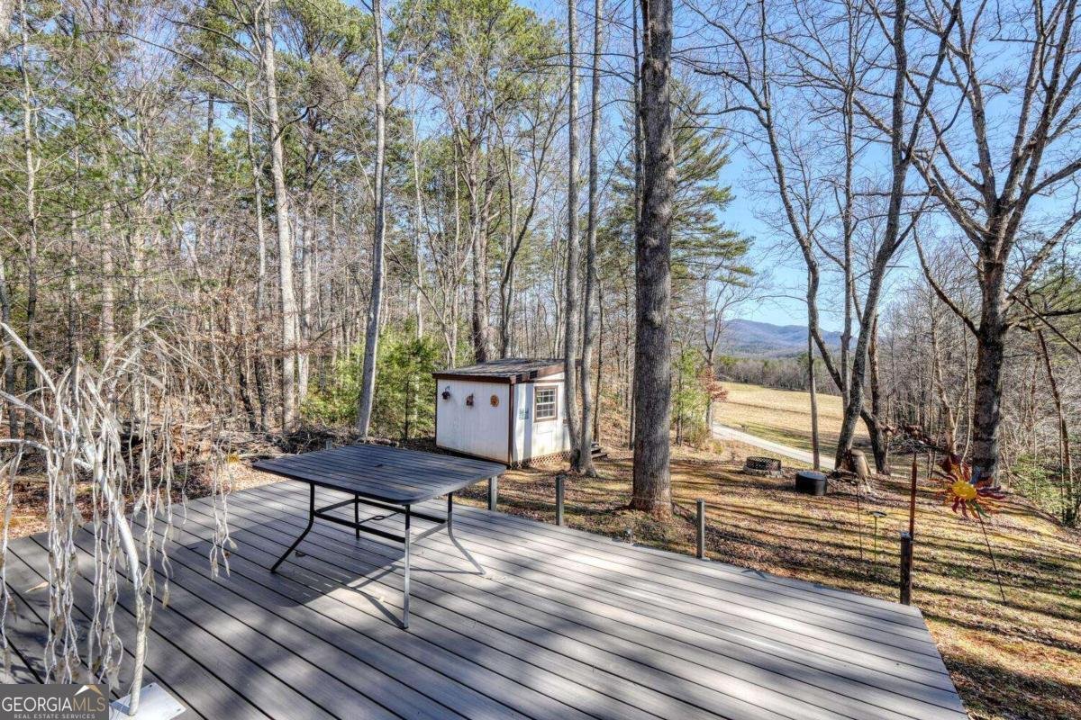 1541 Liberty Church Road Blairsville - Photo 45