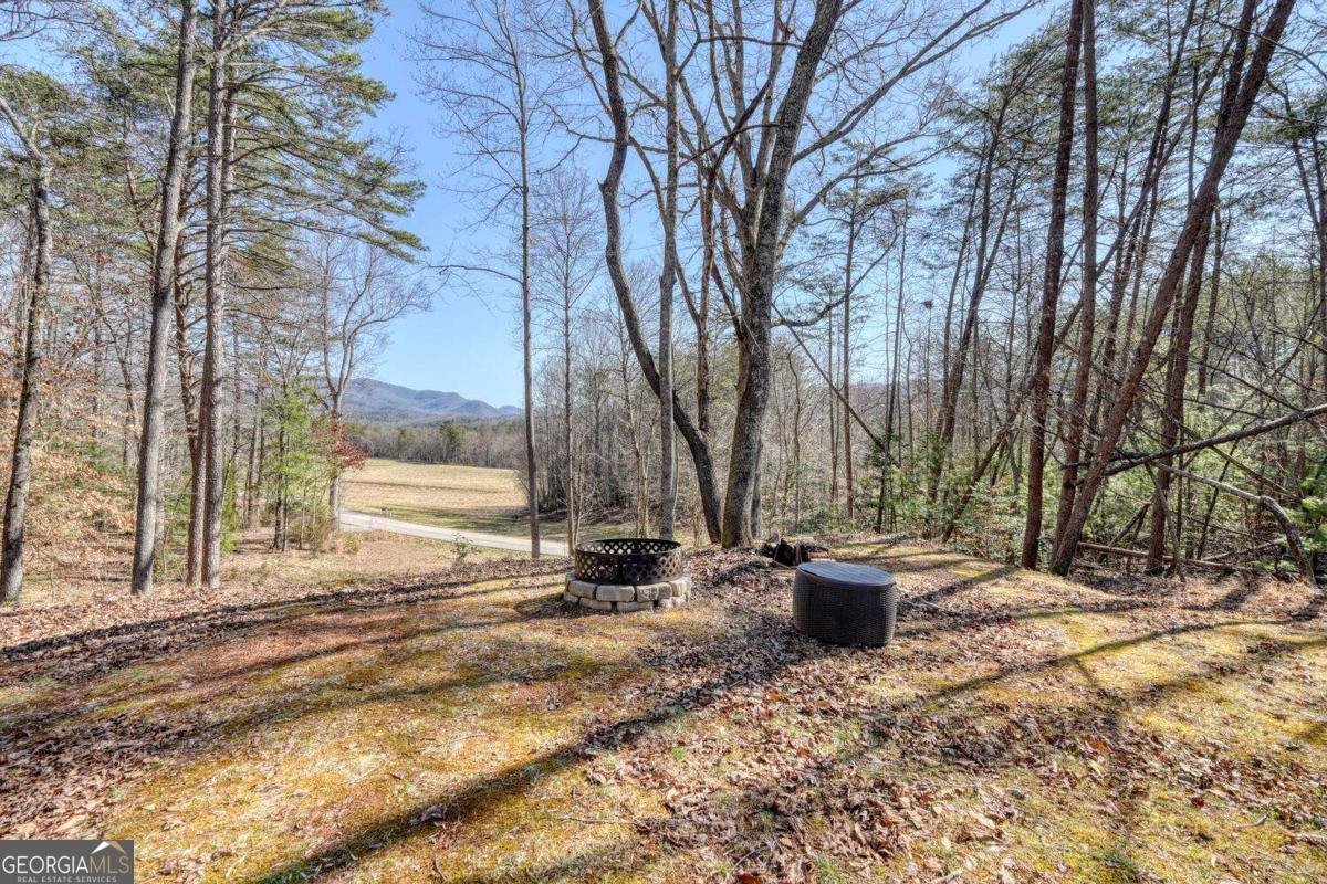 1541 Liberty Church Road Blairsville - Photo 46