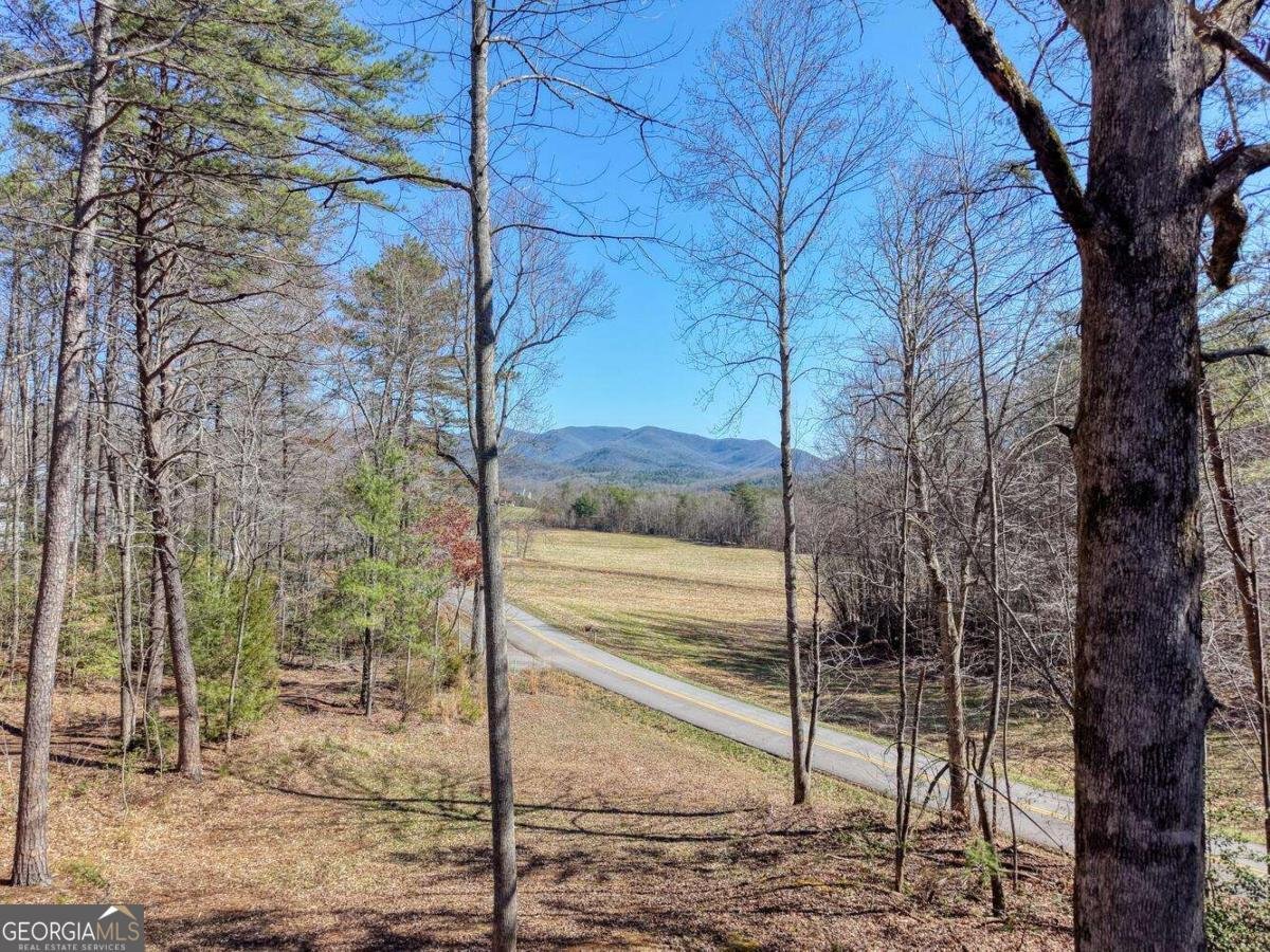 1541 Liberty Church Road Blairsville - Photo 51