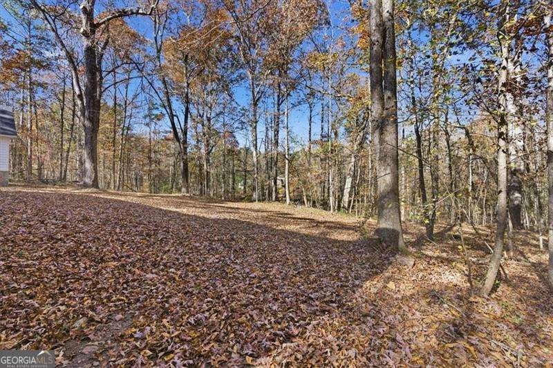 214 Bruce Road Douglasville - Photo 44