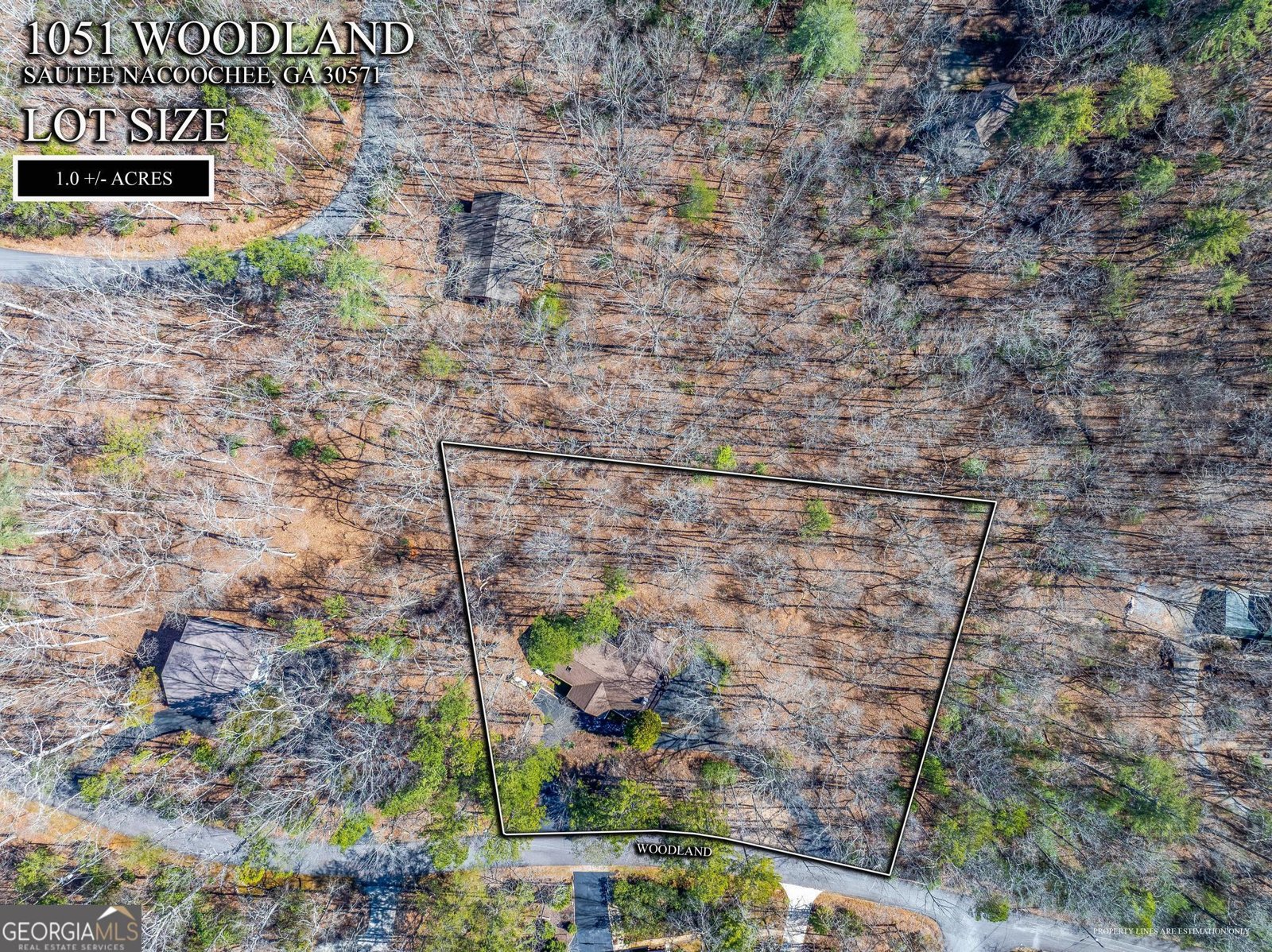 1051 Woodland Sautee Nacoochee - Photo 39