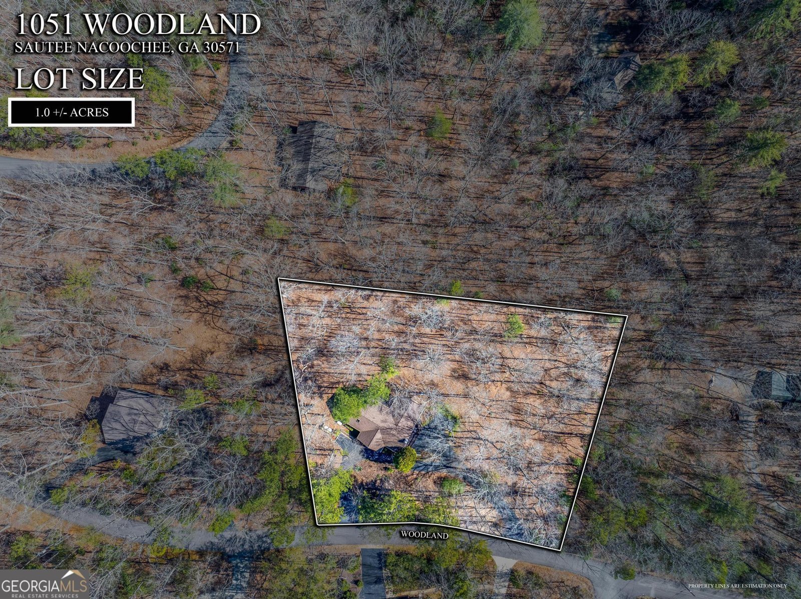1051 Woodland Sautee Nacoochee - Photo 43