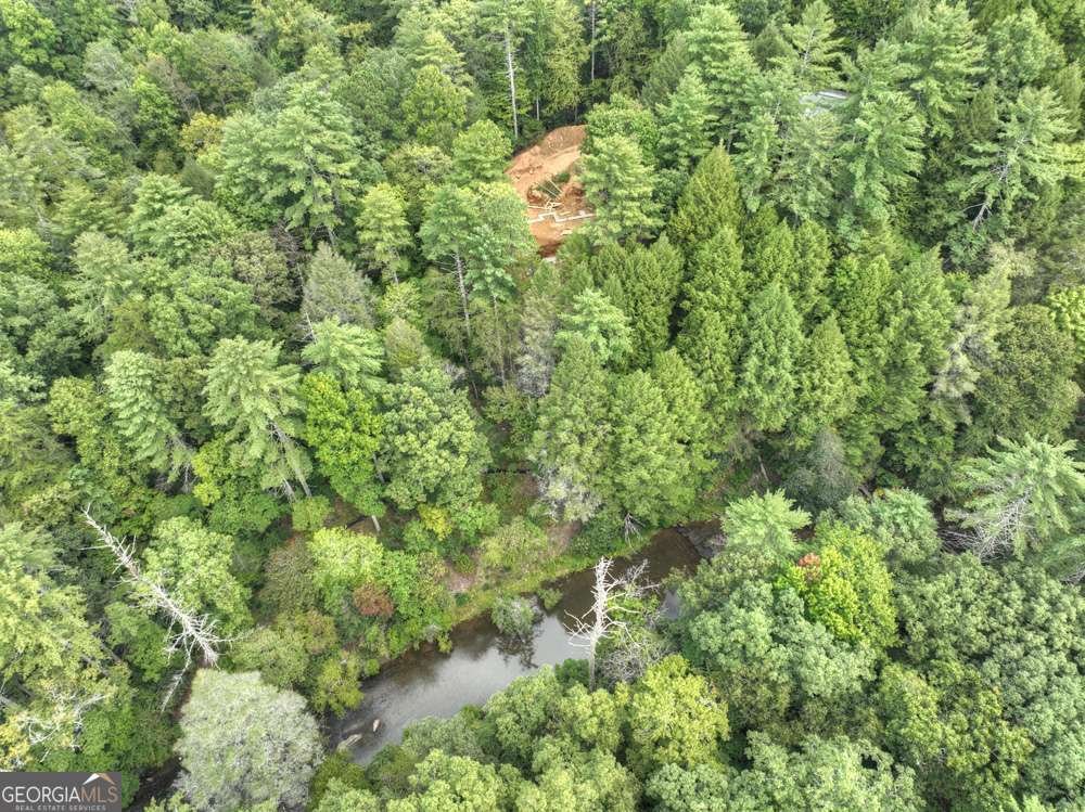 456 Whispering Pine Lane Cherry Log - Photo 53