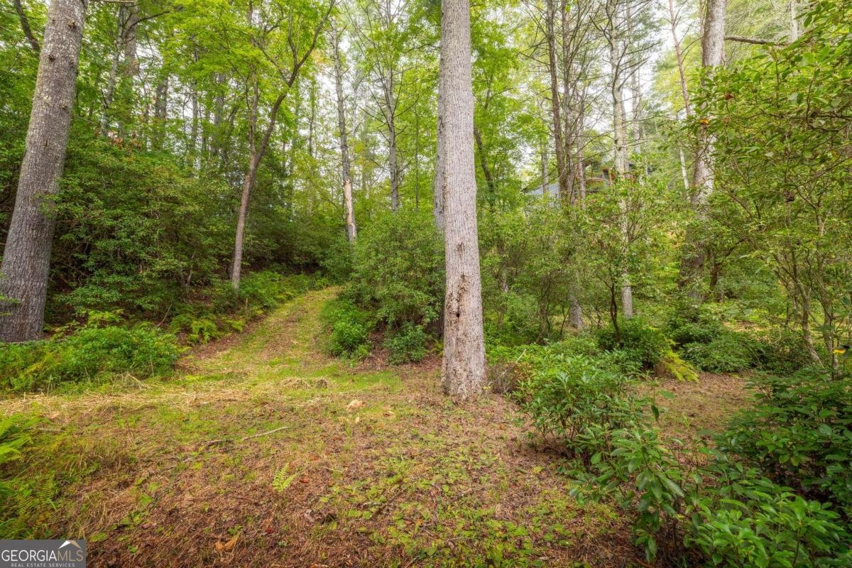 456 Whispering Pine Lane Cherry Log - Photo 58