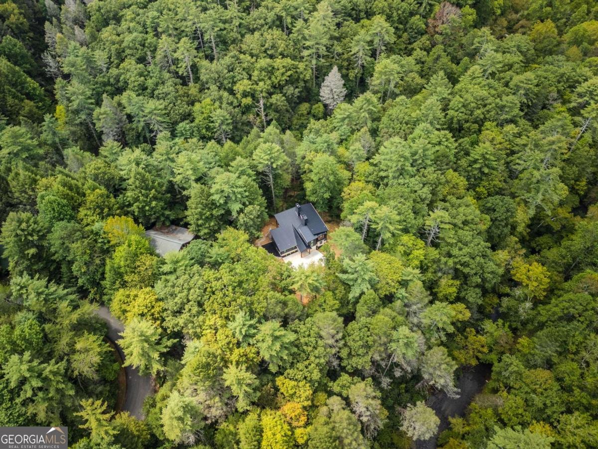 456 Whispering Pine Lane Cherry Log - Photo 59