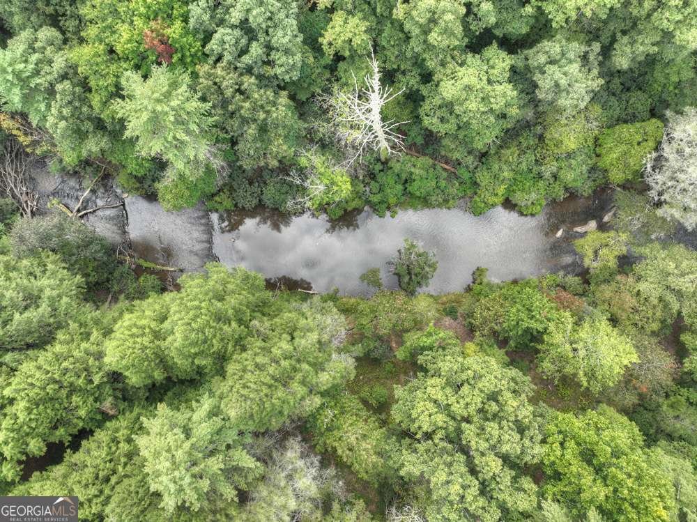 456 Whispering Pine Lane Cherry Log - Photo 60