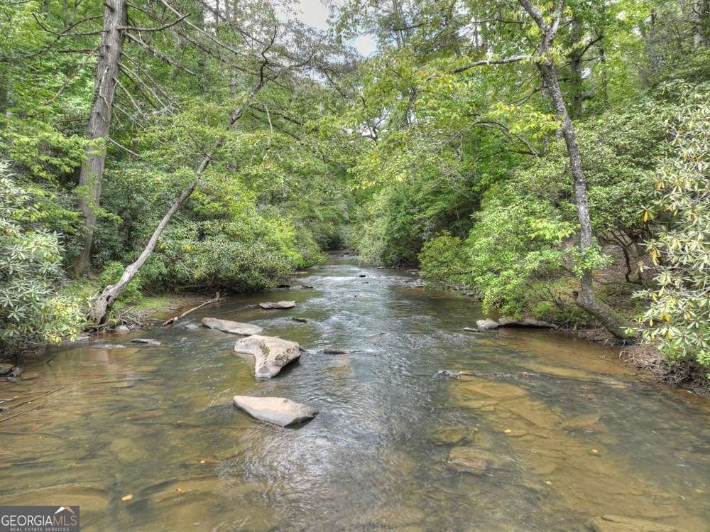 456 Whispering Pine Lane Cherry Log - Photo 63