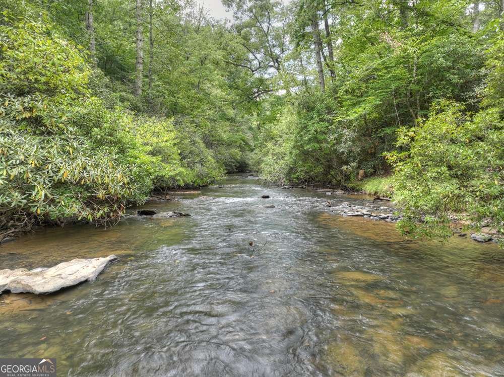 456 Whispering Pine Lane Cherry Log - Photo 64