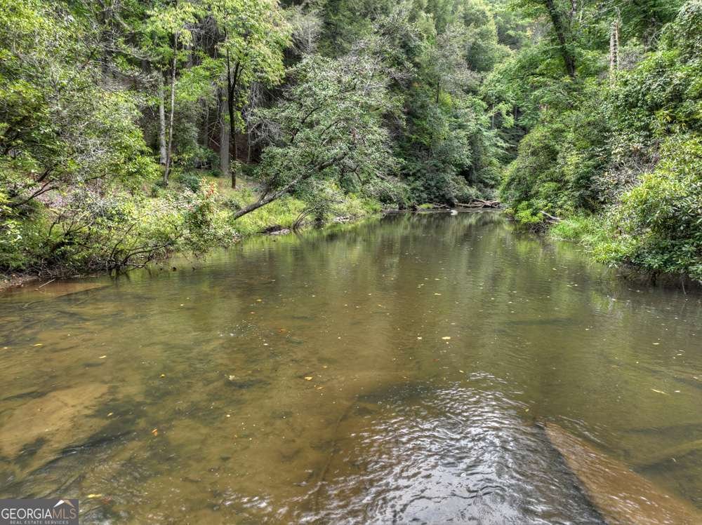 456 Whispering Pine Lane Cherry Log - Photo 66