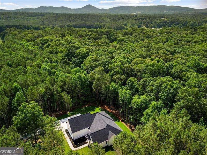 126 Jerusalem Farms Trail Jasper - Photo 40