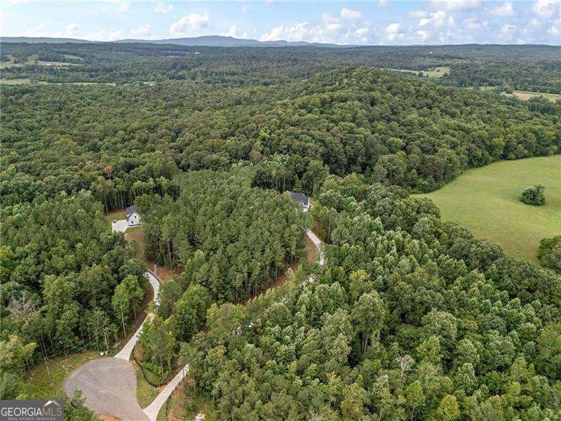 110 Jerusalem Farms Trail Jasper - Photo 40