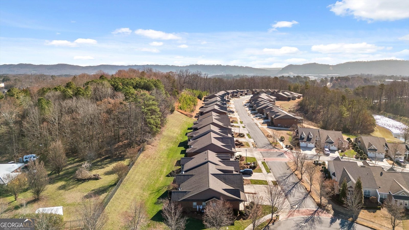 95 Garden View Lane Ringgold - Photo 45