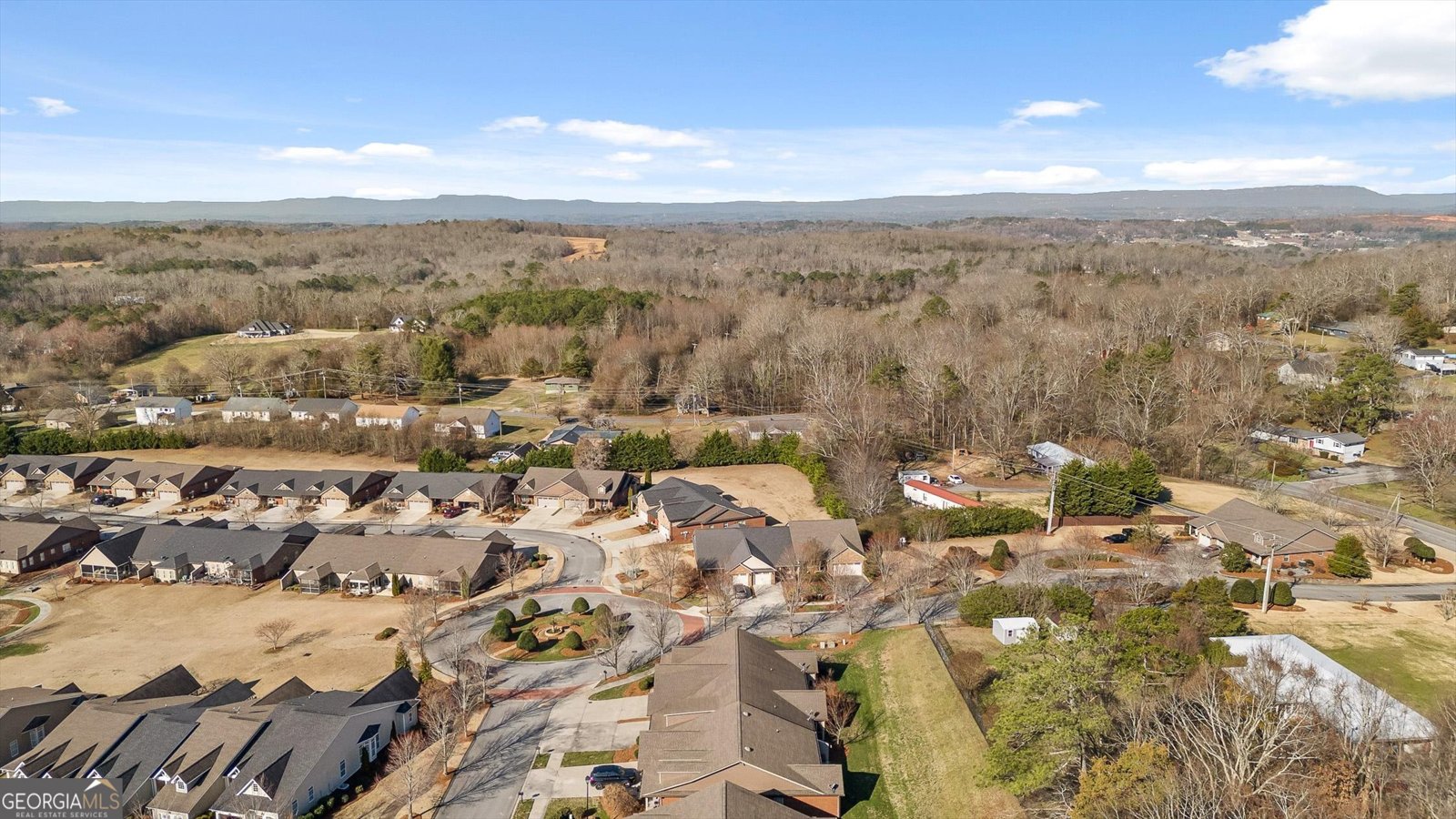 95 Garden View Lane Ringgold - Photo 49