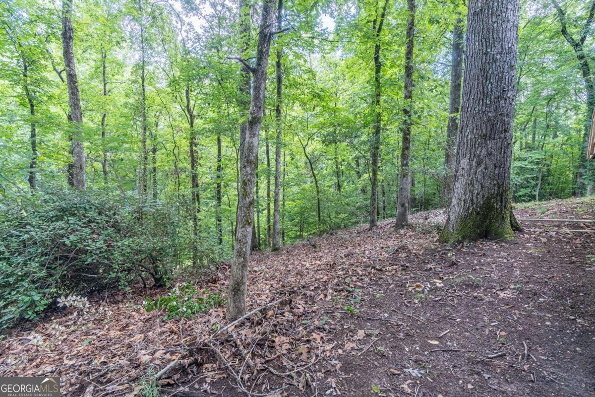 4022 Wesley Chapel Road Marietta - Photo 49