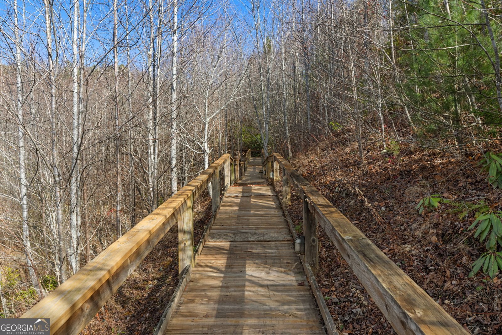 1242 Moccasin Creek Road Clarkesville - Photo 10