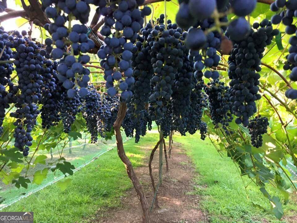 113 Gordon Street Villa Rica - Photo 50