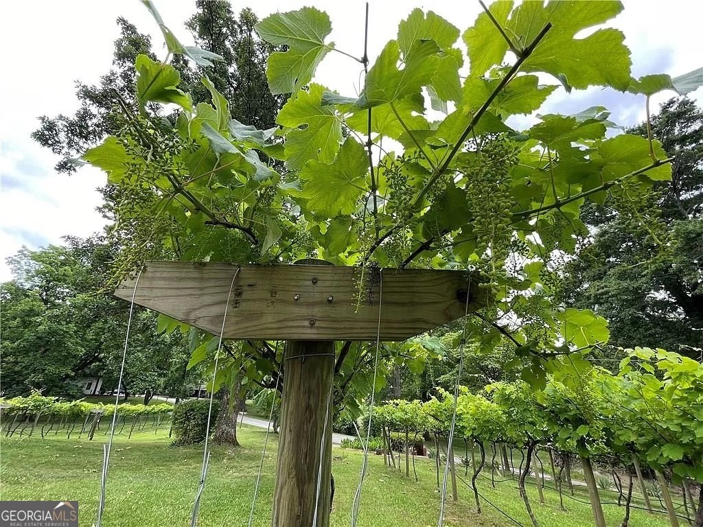 113 Gordon Street Villa Rica - Photo 51