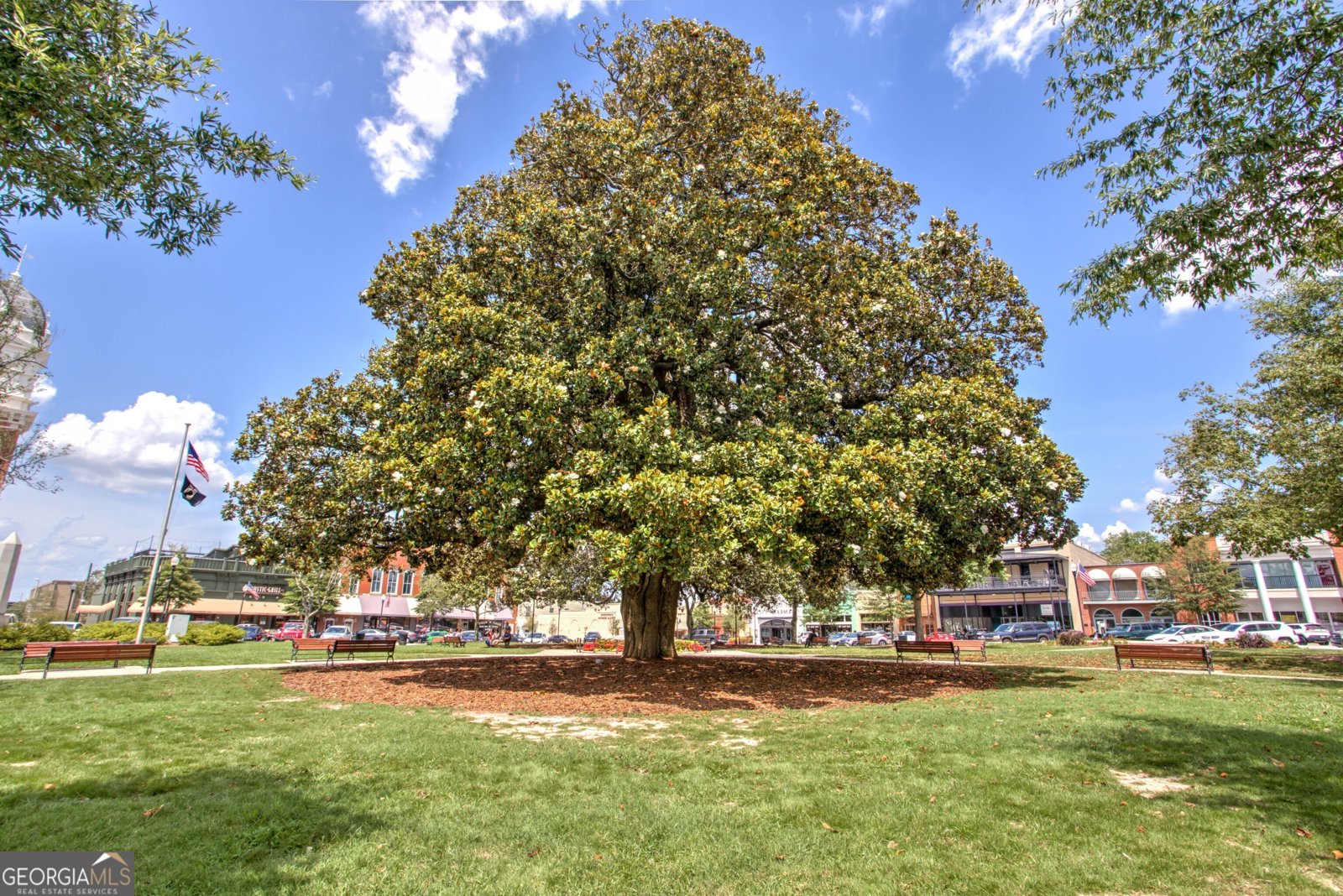 210 Eryn Terrace Covington - Photo 12