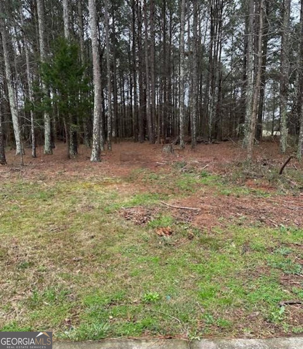 2791 Old Mill Road Rutledge - Photo 26