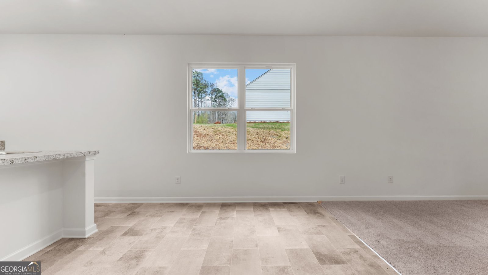 LOT 24 Clemit Harris Road Newnan - Photo 9