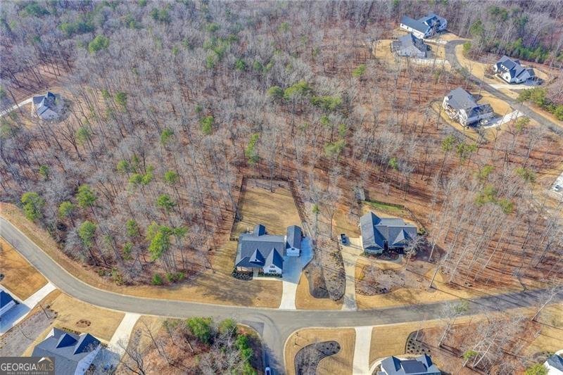 165 Birmingham Road Ball Ground - Photo 51