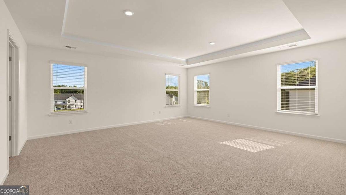 2877 Eucalyptus Road Loganville - Photo 18