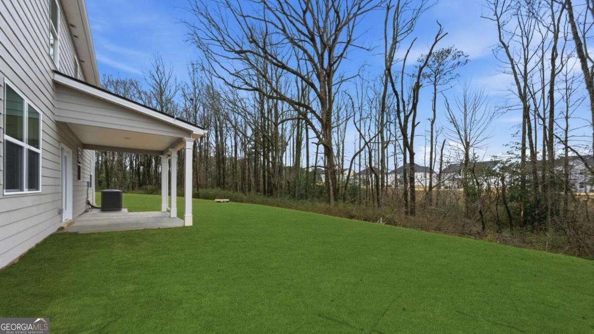 2877 Eucalyptus Road Loganville - Photo 50