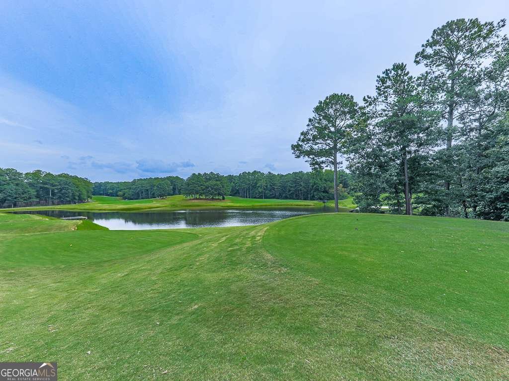 102 Springshade Lane Canton - Photo 56