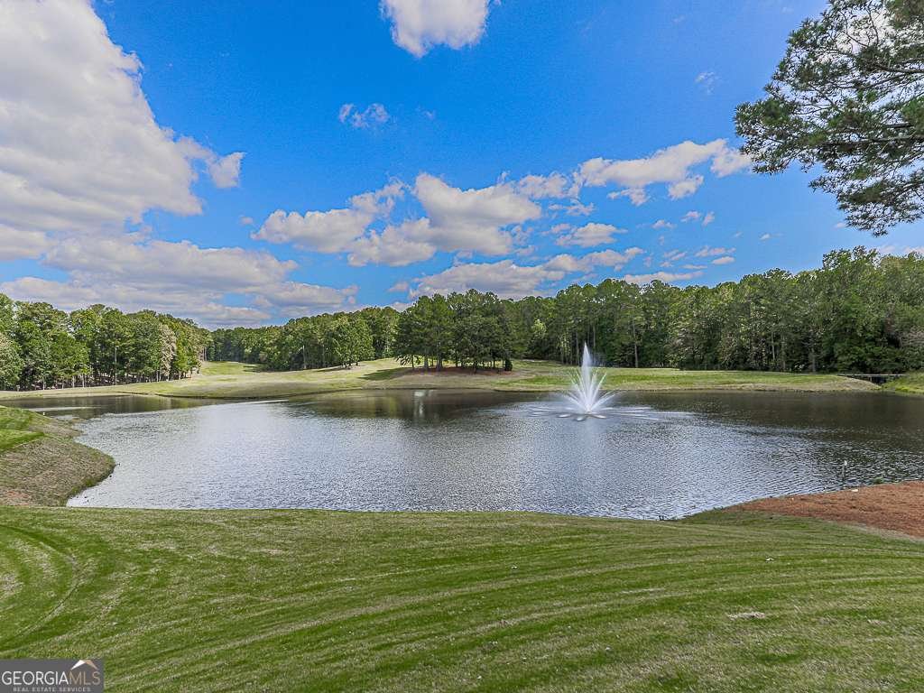 102 Springshade Lane Canton - Photo 59