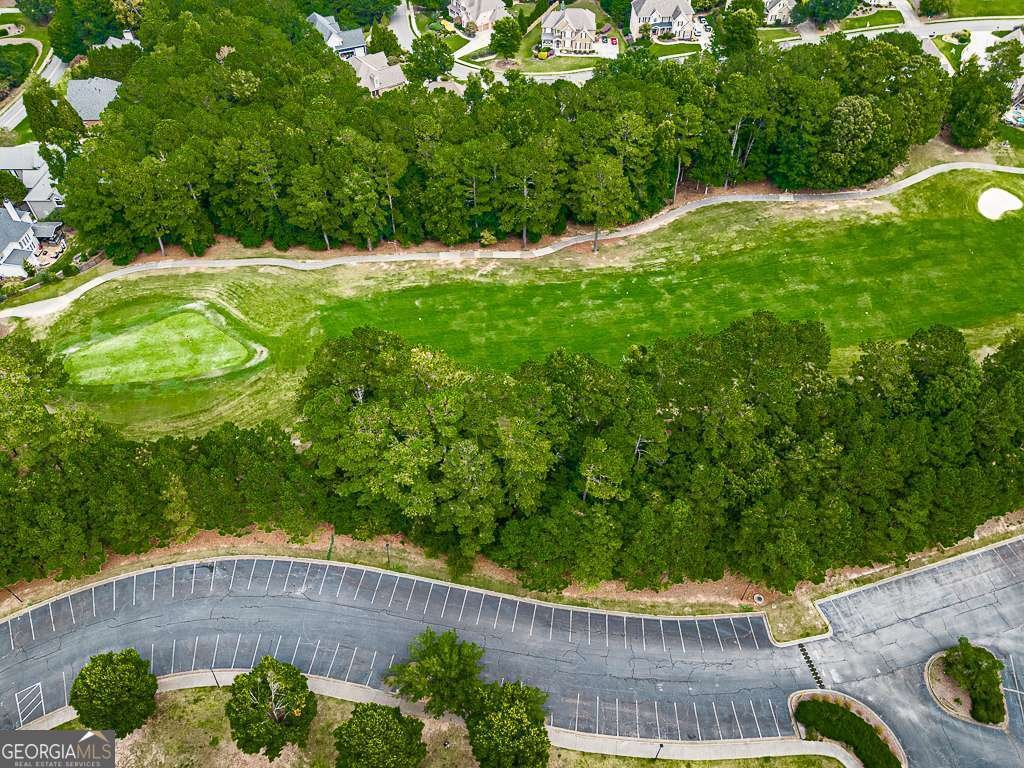 102 Springshade Lane Canton - Photo 66