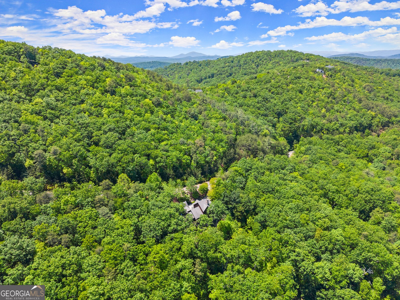 371 Orchard Hills Drive Clarkesville - Photo 57