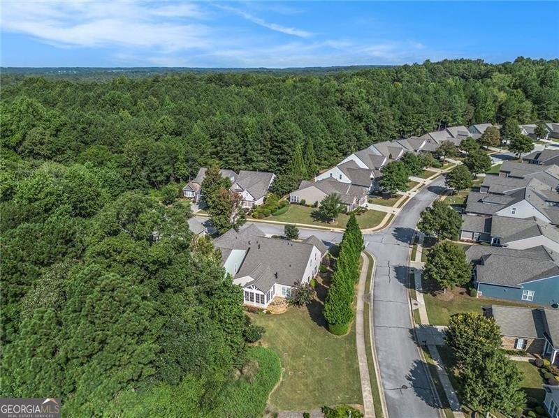 6503 Grove Park Drive Hoschton - Photo 48