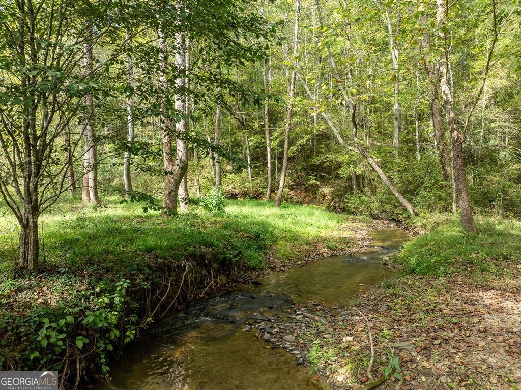 142 Red Oak Trail Ellijay - Photo 68