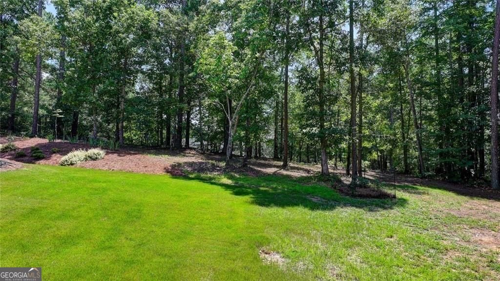 919 Fields Chapel Road Canton - Photo 56