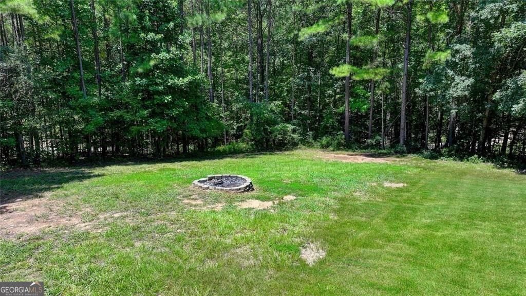 919 Fields Chapel Road Canton - Photo 57